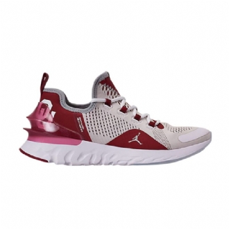 Pánské Boty Air Jordan React Havoc Bílý Červené Šedá