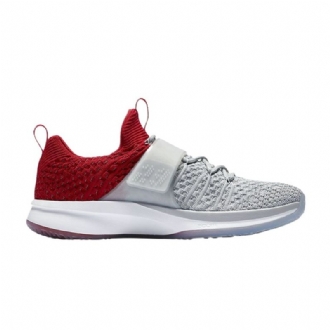 Pánské Boty Air Jordan Trainer 2 Flyknit Šedá Červené Stříbrný