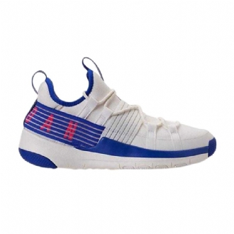 Pánské Boty Air Jordan Trainer Pro Bílý Modrý Růžová